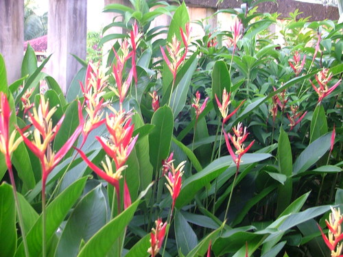 Bali_25dec2005_251